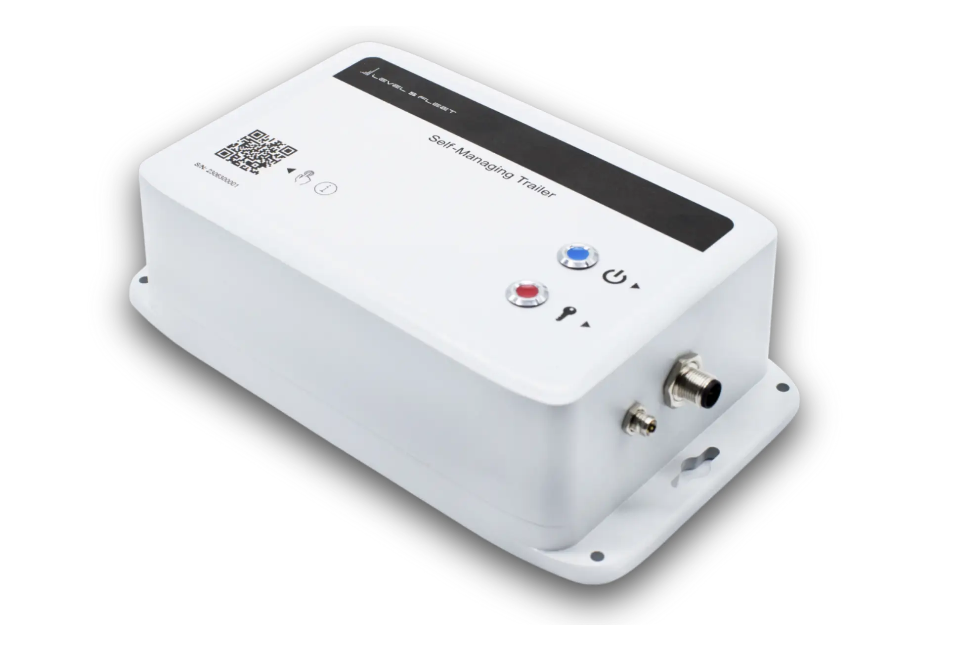 How It Works: Immobilization Simplified